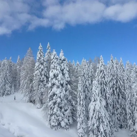 Apartman Tom's Huette