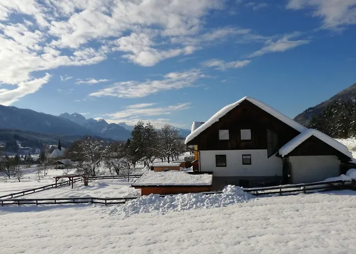 Apartament Tom's Huette Presseggersee