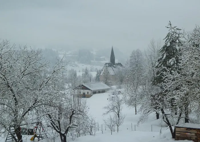 Tom's Huette Presseggersee