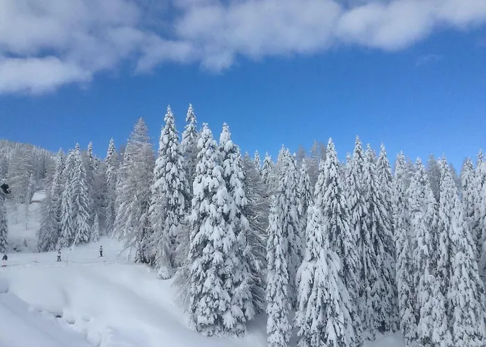 דירה Tom's Huette